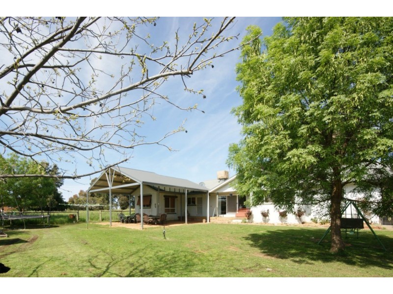 155 Lawson Syphon Road, Deniliquin NSW 2710