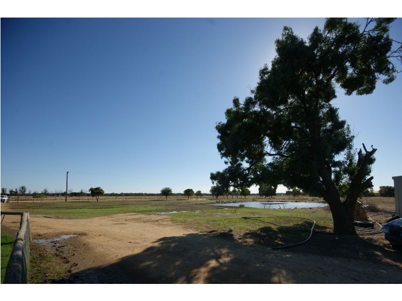 120 McCrabb Road, Deniliquin NSW 2710