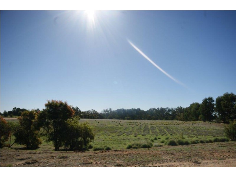 Lot 4 Echidna Way Billabong Estate, Deniliquin NSW 2710