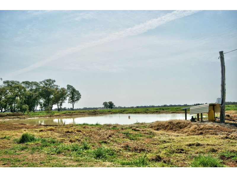 408 Marshalls Rd, Deniliquin NSW 2710