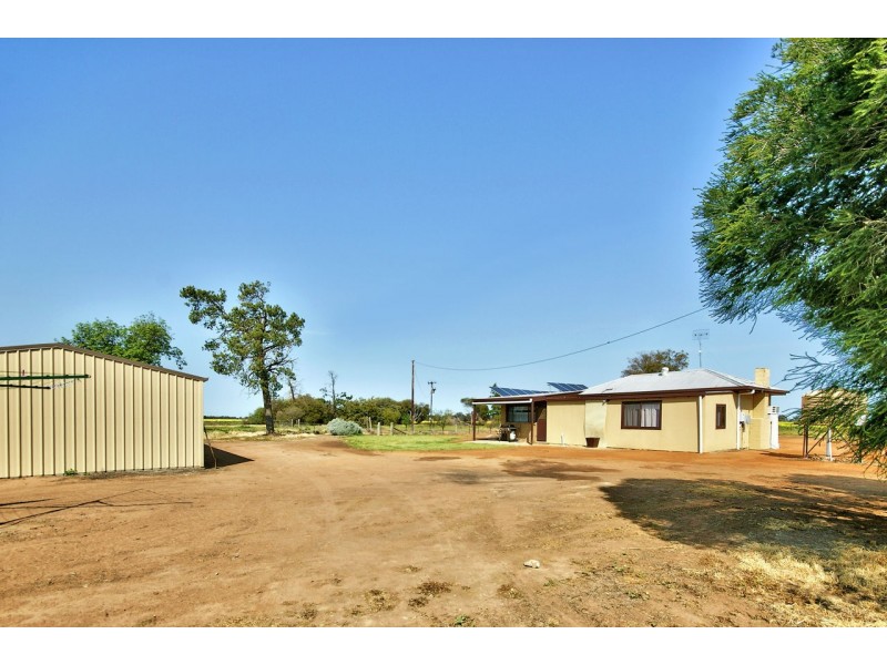 408 Marshalls Rd, Deniliquin NSW 2710
