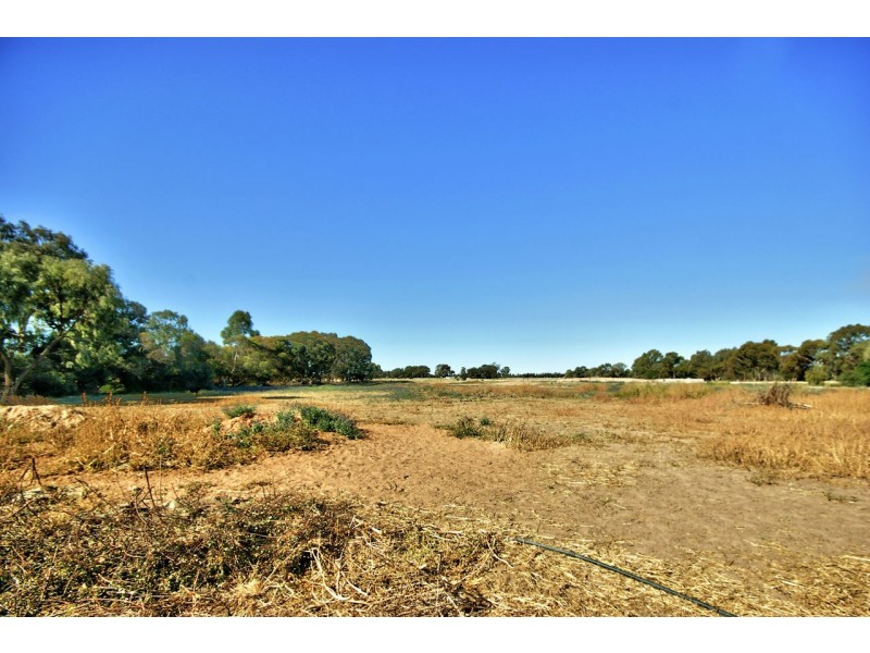 157 Augustus St, Deniliquin NSW 2710