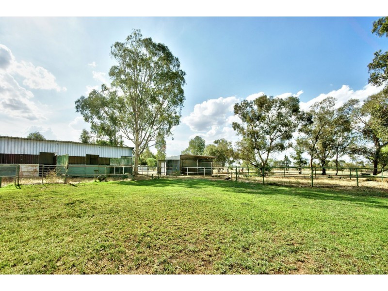 192 Old Racecourse Rd, Deniliquin NSW 2710