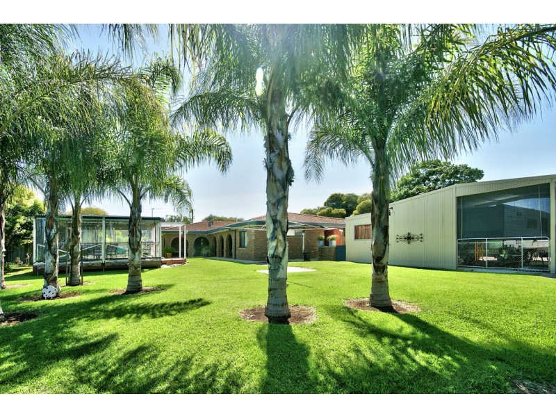 312 Finley Road, Deniliquin NSW 2710