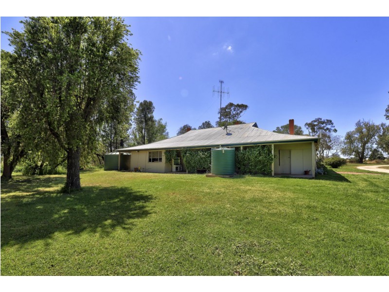 157 Mills Rd, Deniliquin NSW 2710