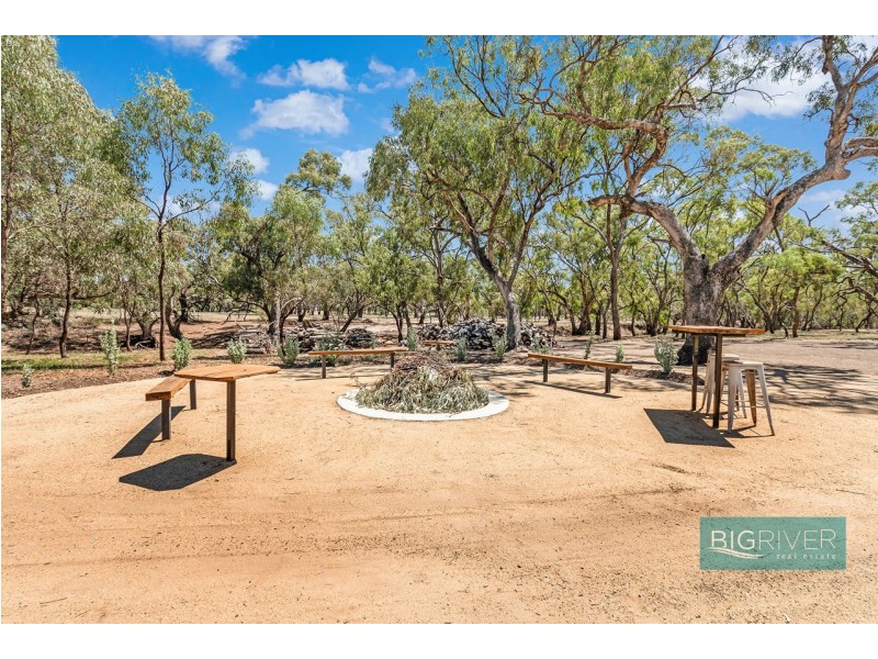 49 Pindara Lane, Deniliquin NSW 2710