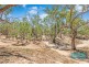 49 Pindara Lane, Deniliquin NSW 2710