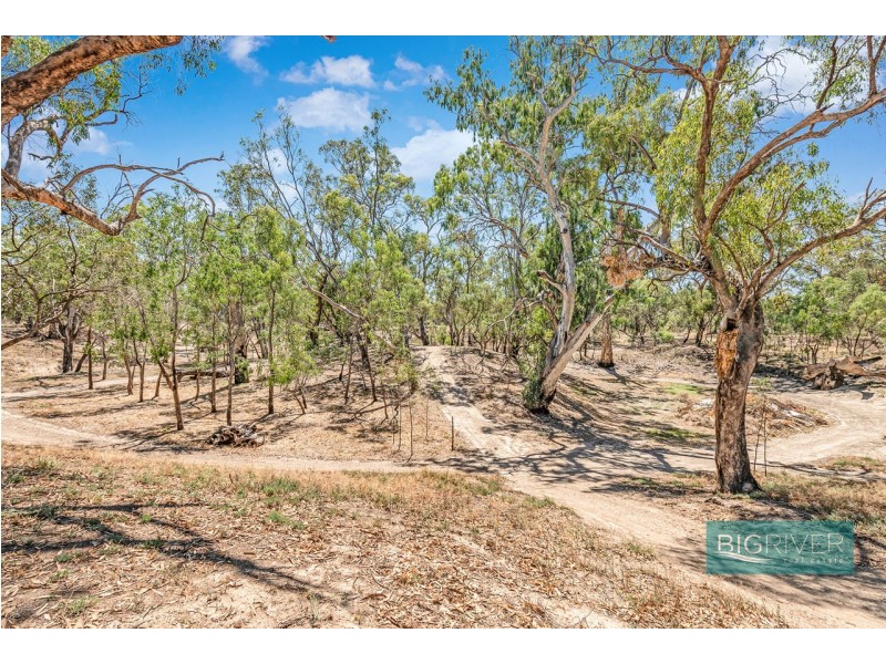 49 Pindara Lane, Deniliquin NSW 2710
