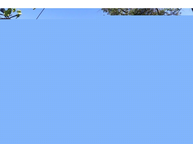 462 Wilkinson Street, Deniliquin NSW 2710