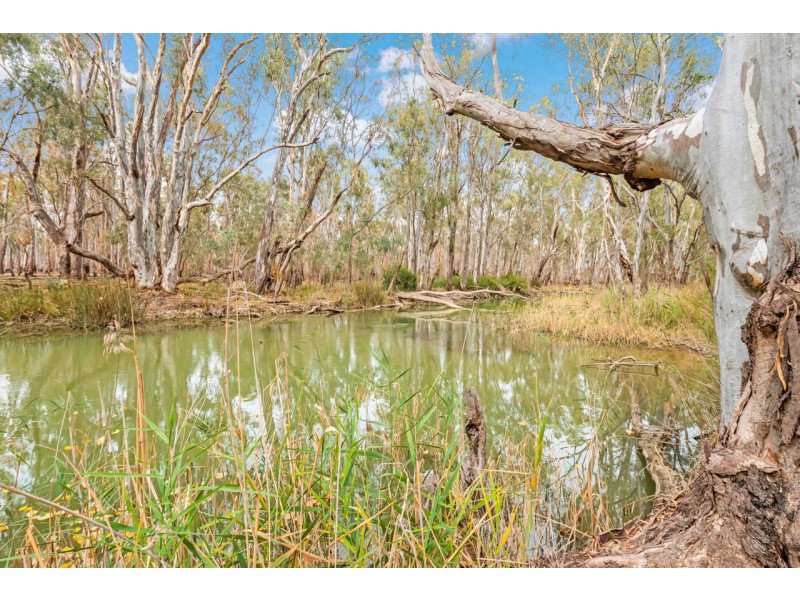 48 Moama Street, Mathoura NSW 2710