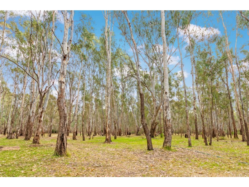 48 Moama Street, Mathoura NSW 2710