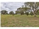 15 Boxwood Court, Deniliquin NSW 2710