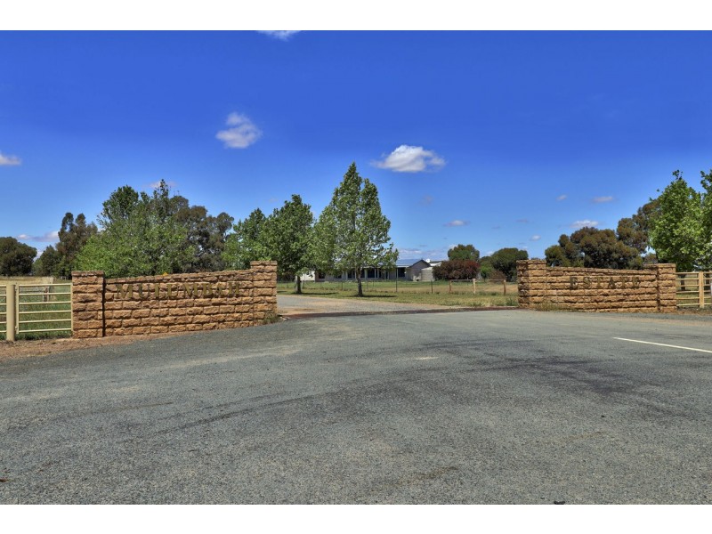 20 Mulumbah Estate, Deniliquin NSW 2710