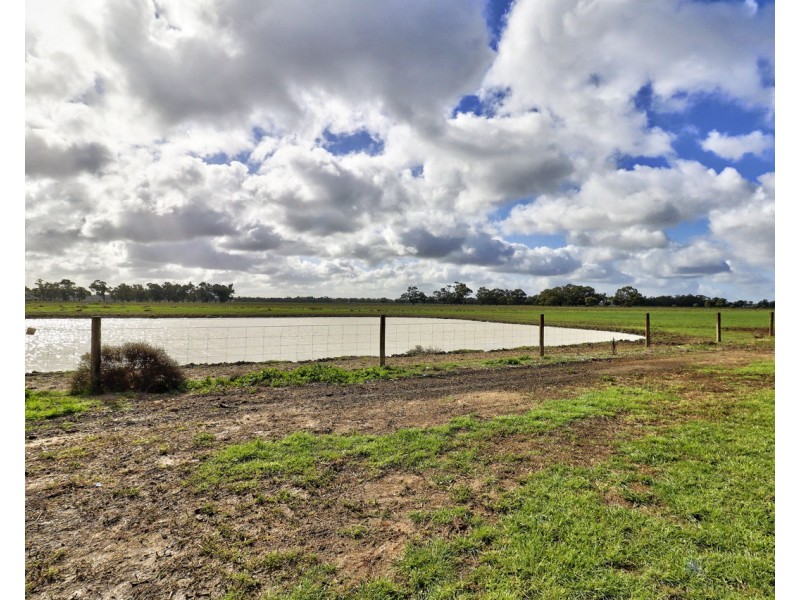 104 Warbreccan Road, Deniliquin NSW 2710