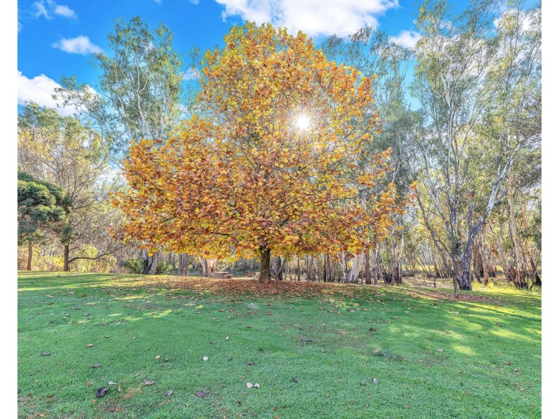 3924 Cobb Highway, Mathoura NSW 2710