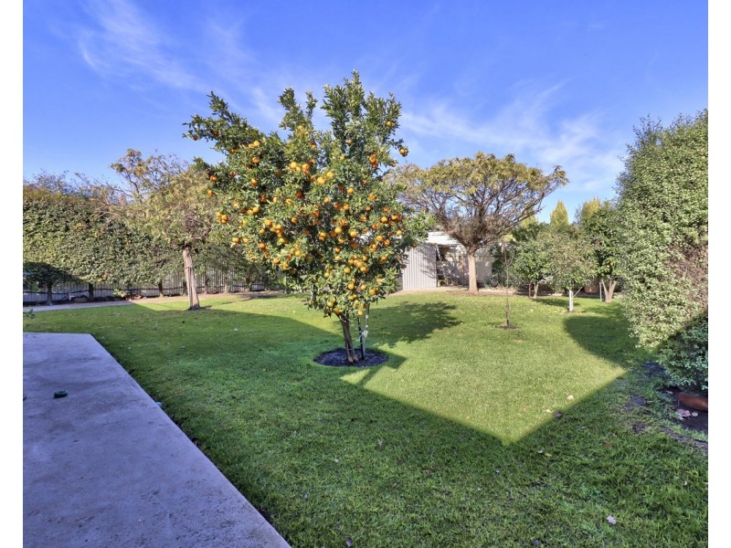 412 Henry Street, Deniliquin NSW 2710