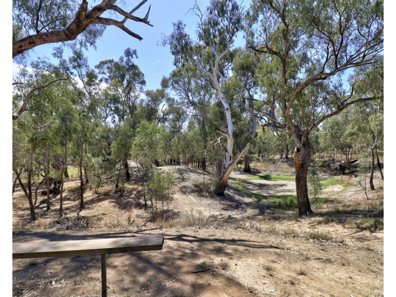 49 Pindara Lane, Deniliquin NSW 2710