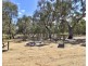 49 Pindara Lane, Deniliquin NSW 2710