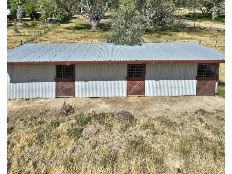 361 Hodgkins Street, Deniliquin NSW 2710