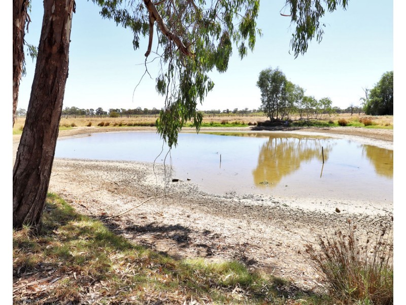 32 Clifton Street, Mathoura NSW 2710