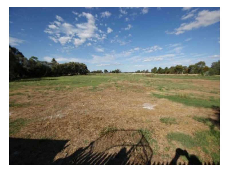 Lot 5 Augustus Street, Deniliquin NSW 2710