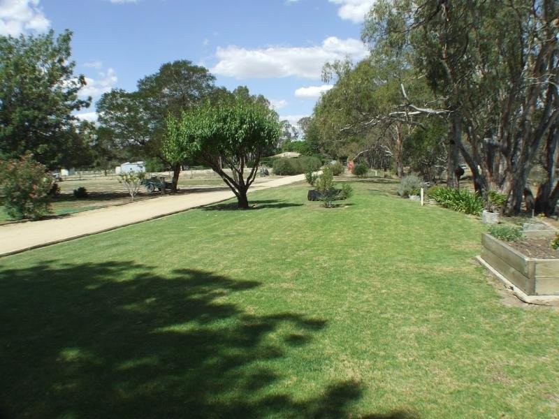 270 Boggy Creek Rd ( Dahwilly Lane ) Road, Deniliquin NSW 2710
