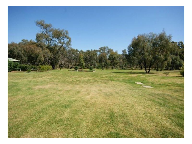 37 Pindara Lane, Deniliquin NSW 2710