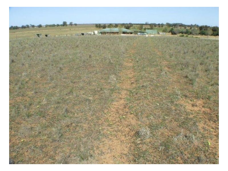 24 Mulumbah Estate, Deniliquin NSW 2710