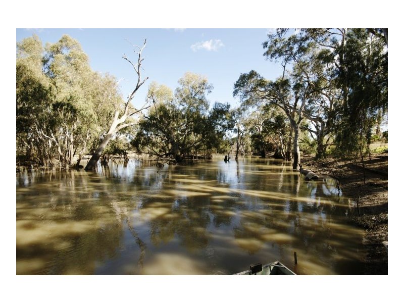 39 Echidna Way, Deniliquin NSW 2710