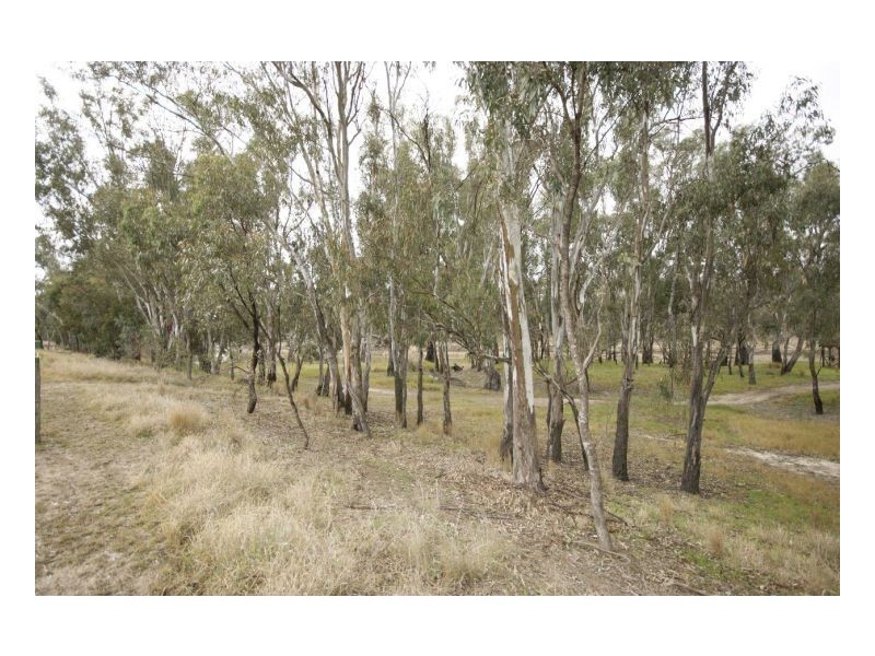 142 Riverside Estate, Deniliquin NSW 2710