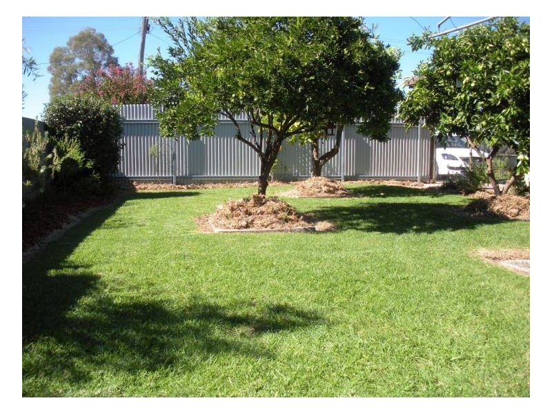 246 Finley Rd, Deniliquin NSW 2710