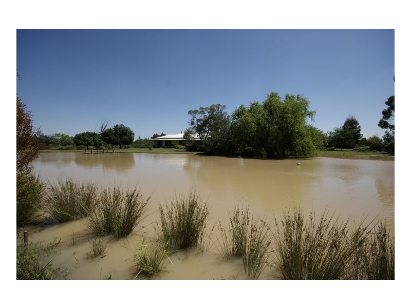 335 Flanagans Lane, Deniliquin NSW 2710