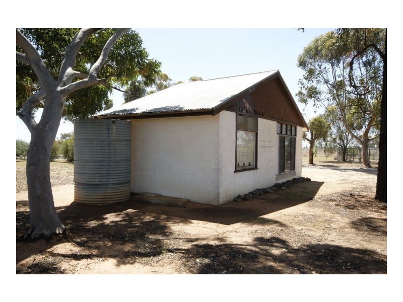 335 Flanagans Lane, Deniliquin NSW 2710