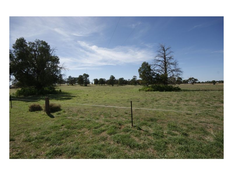 371 Todds Rd, Deniliquin NSW 2710