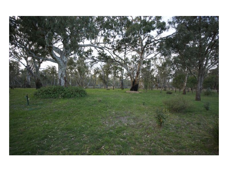 Neatan Calimo Road (Stevens Weir Rd), Deniliquin NSW 2710