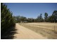 15 Billabong Estate, Conargo NSW 2710