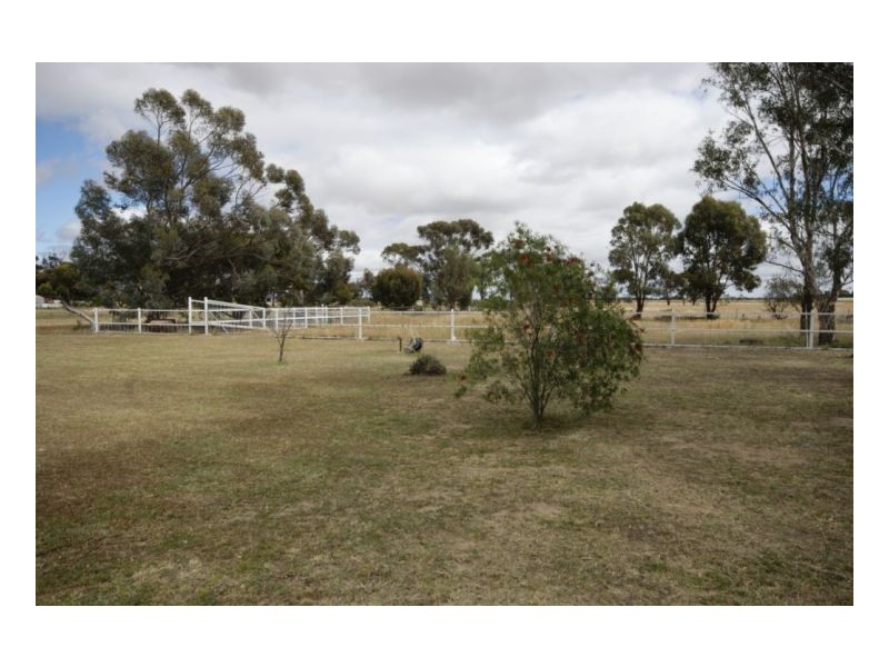 186 Barham Rd, Deniliquin NSW 2710