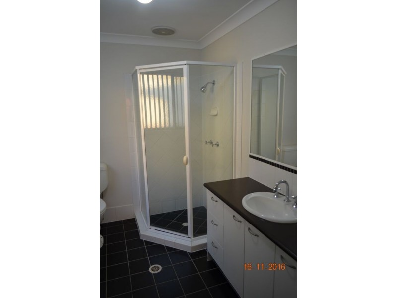 17/1158 CAVENDISH ROAD, Mount Gravatt East QLD 4122