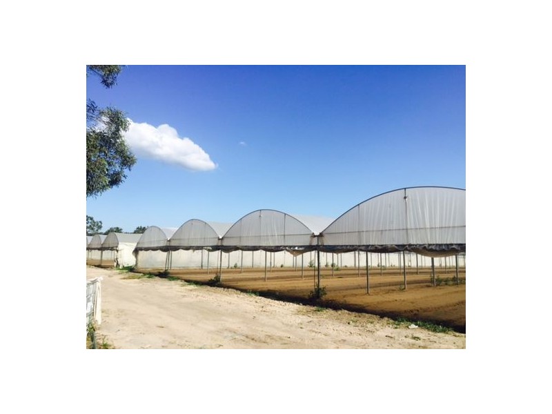 481 Chambers Flat Road, Park Ridge QLD 4125