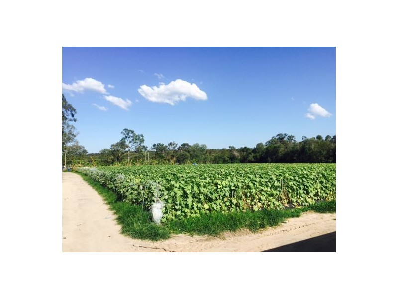 481 Chambers Flat Road, Park Ridge QLD 4125