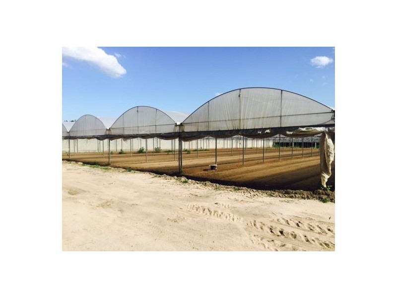 481 Chambers Flat Road, Park Ridge QLD 4125