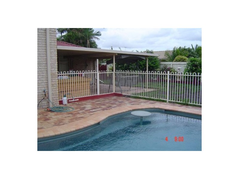 6 Orangetip, Calamvale QLD 4116