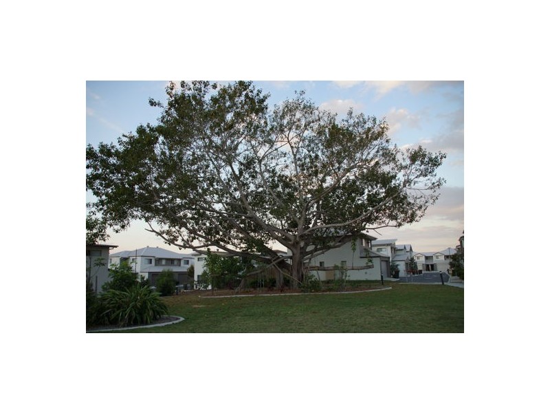 Calamvale QLD 4116
