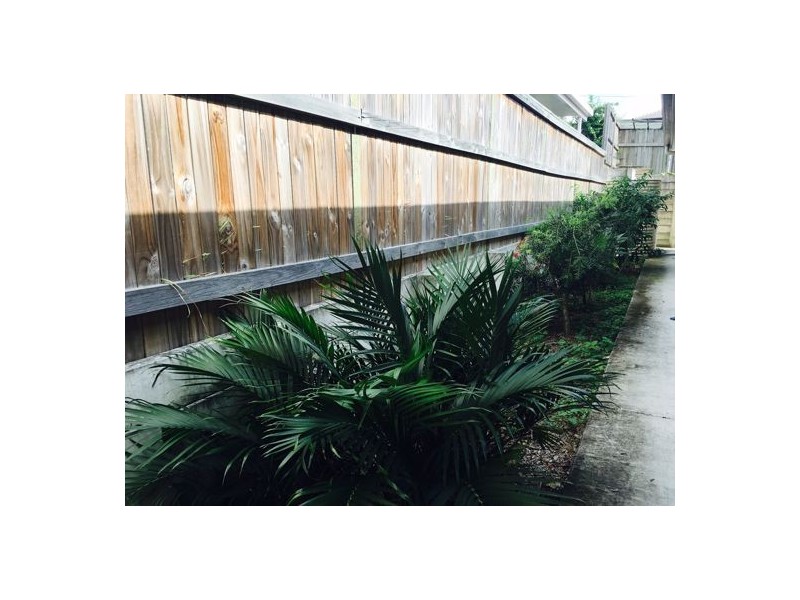 19 Brine Place, Underwood QLD 4119