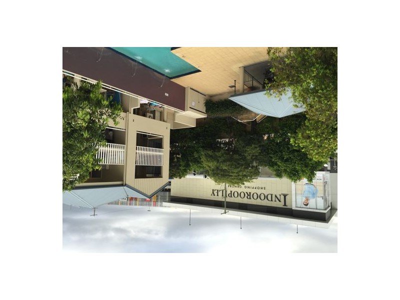 Unit33 38 Vincent Street, Indooroopilly QLD 4068