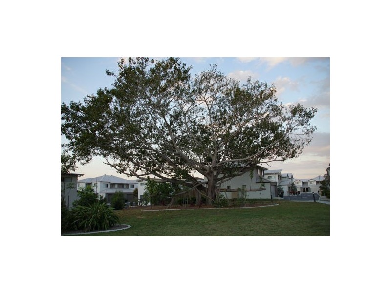 Unit 53 88 Shelduck Place, Calamvale QLD 4116