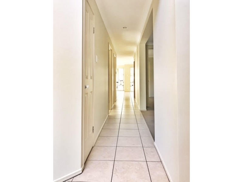 16 Oakridge Place, Molendinar QLD 4214