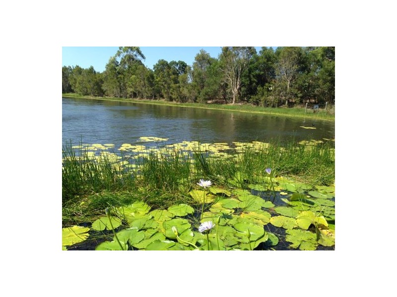 W1/3 Brushwood Court,, Mango Hill QLD 4509