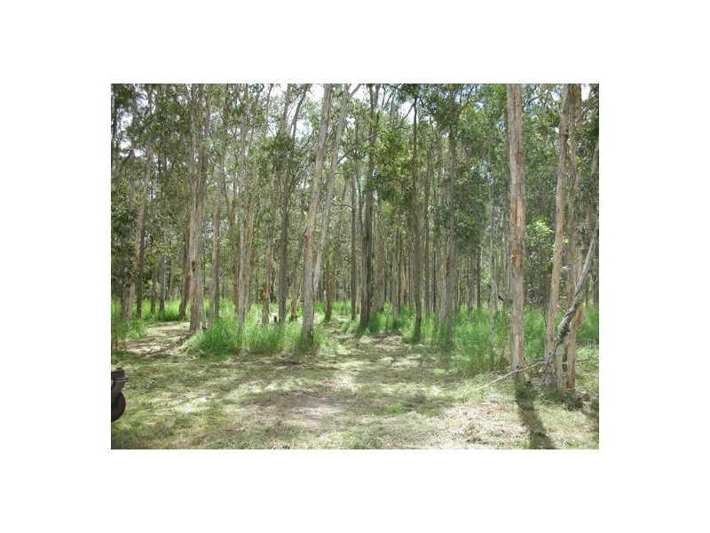 Park Ridge South QLD 4125