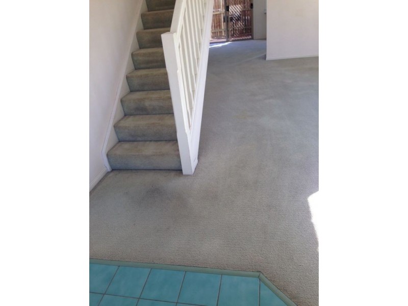 245 P Hellawell Road, Sunnybank Hills QLD 4109